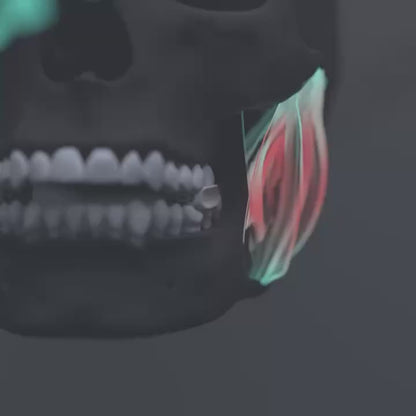 Veon Jaw+